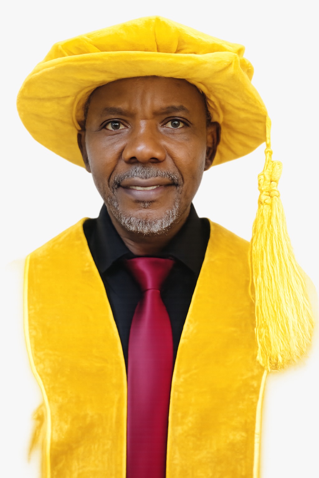 Prof. Ogwola Idoko Robert